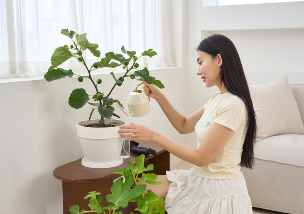 넥스트 펀딩 스케일업 지원